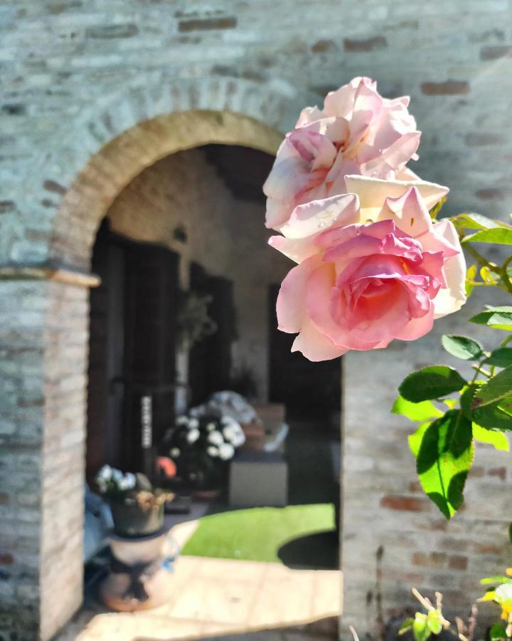 Hotel Damabianca à Portogruaro Extérieur photo