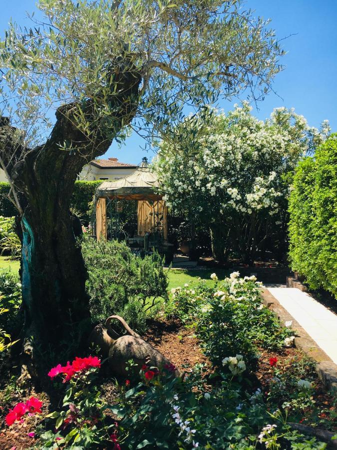 Hotel Damabianca à Portogruaro Extérieur photo